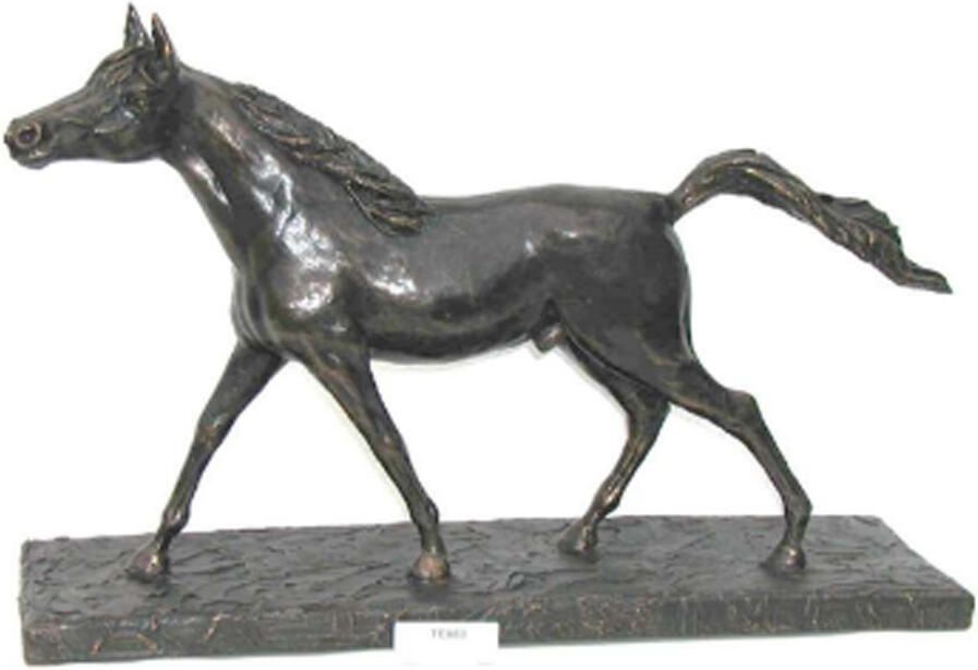 Tenax Beeld arabier groot