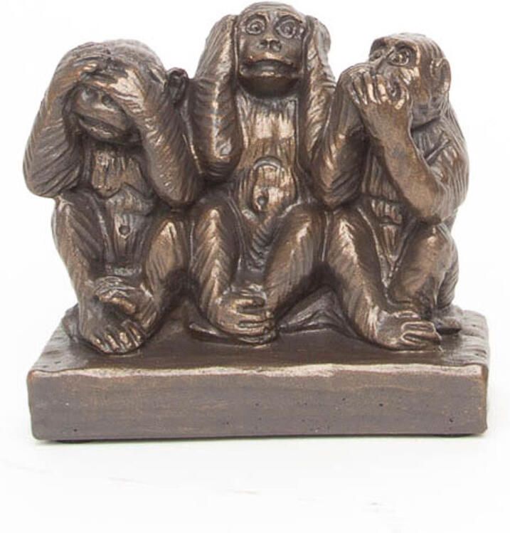 Tenax Beeld Horen zien en zwijgen Middel