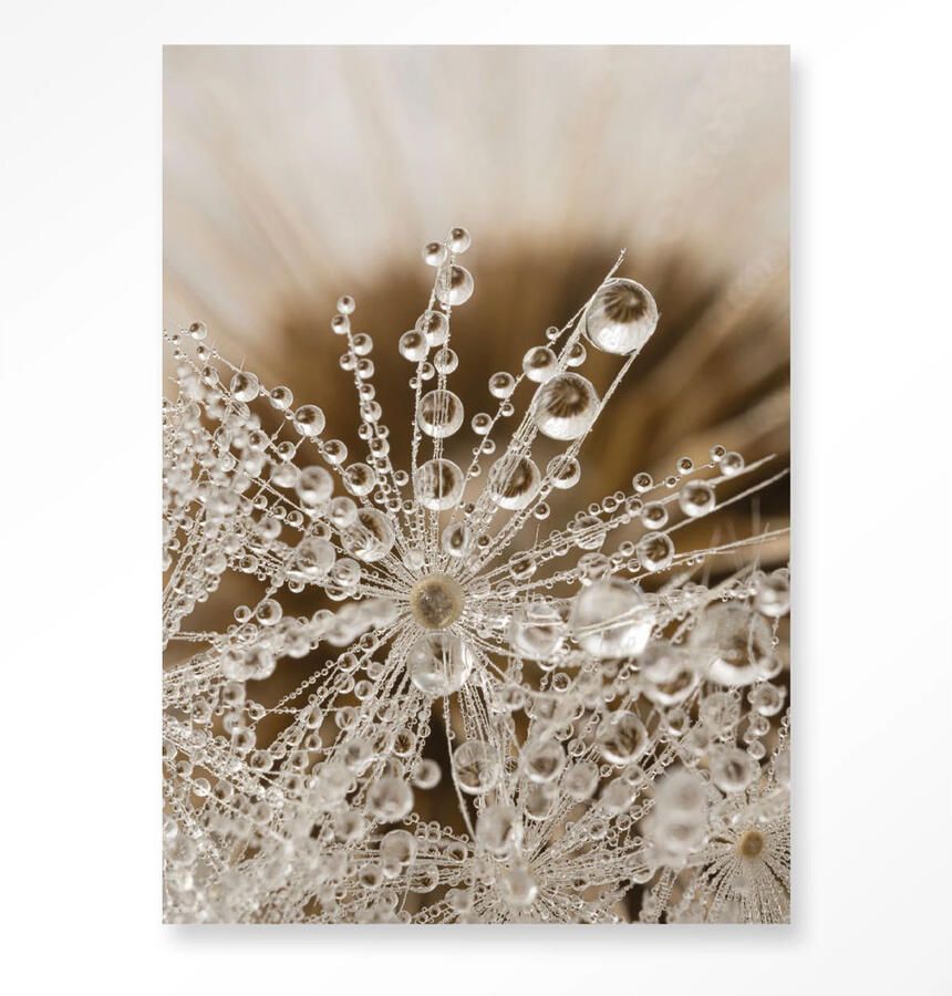 Urban Cotton Wandkleed Landelijke Natuur 110x145 cm