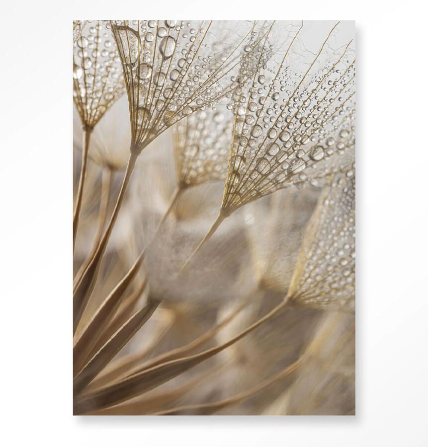 Urban Cotton Wandkleed Natuurlijk Abstractie 110x145 cm