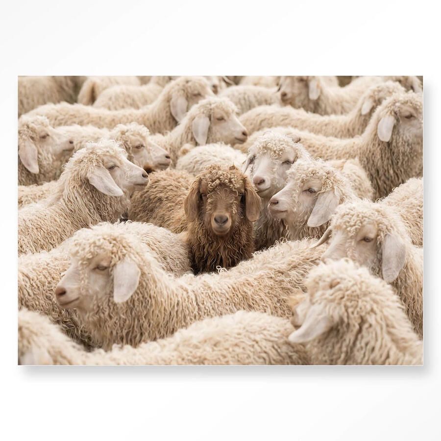 Urban Cotton Wandkleed The Herd Met Frame 80x110