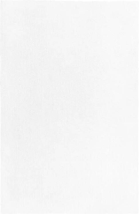 Beliani DEMRE Shaggy vloerkleed Wit 200 x 300 cm Polyester