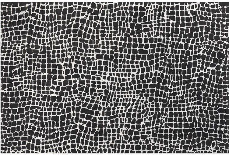 Beliani PUNGE Vloerkleed Zwart|Wit 200 x 300 cm Polyester