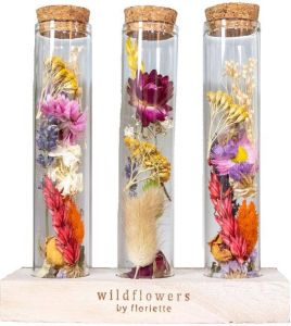 Bloomique 3x Droogbloemen in glas – Meerkleurig – Incl. fles – Maat L – ↕15 cm