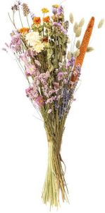 Bloomique Droogbloemen – Veldboeket – Meerkleurig – Maat L – ↕60 cm