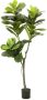 Emerald Kunstplant vioolbladplant 160 cm - Thumbnail 2