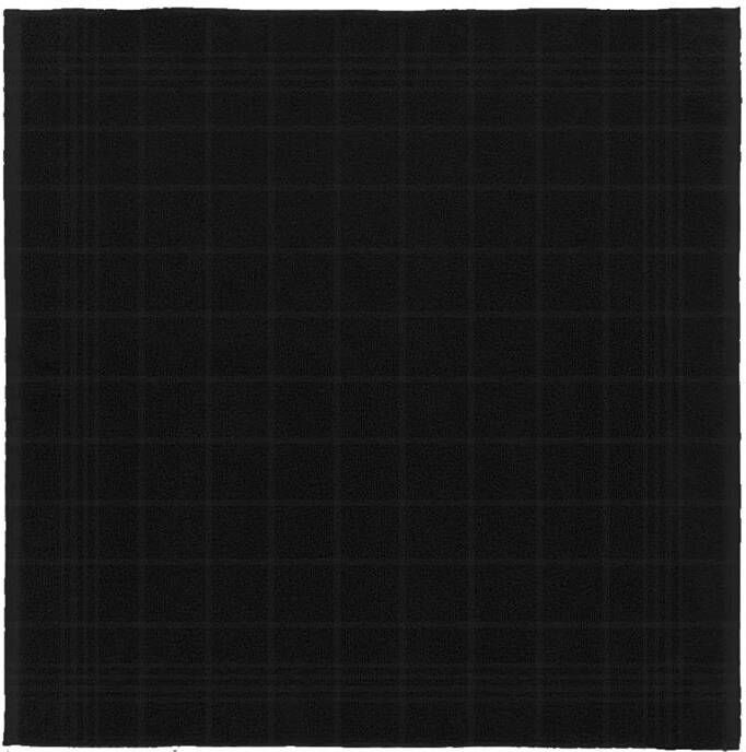 DDDDD keukendoek Block 50x55cm Zwart 6 stuks