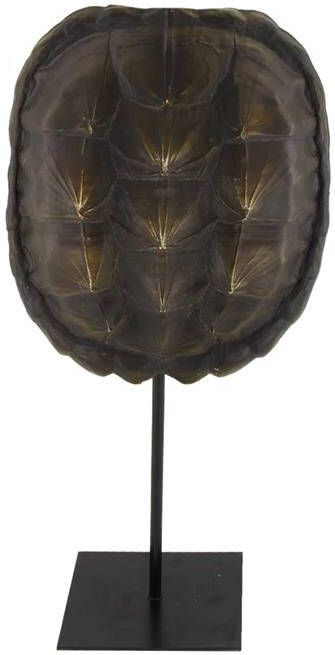 Dijk Natural Collections DKNC Schilpad shelp polyresin op standaard 20x10x40cm Bruin