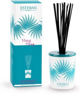 Esteban Classic Ylang Geurstokjes Decoratief 100ml