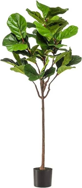 Fleurdirect Ficus Lyrata kunstplant