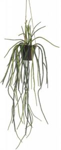Fleurdirect Hangplant Rhipsalis Groen Polyester 0x85x0cm (BxHxD)
