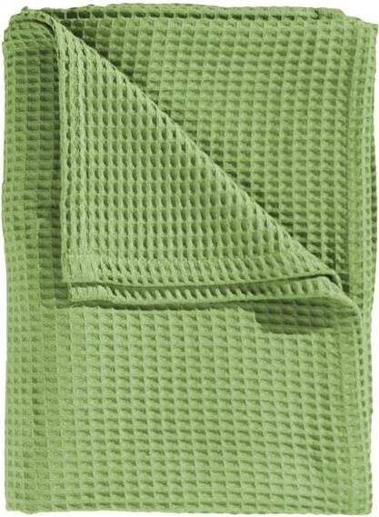 Heckettlane Heckett Lane Wafel Plaid Apple Green