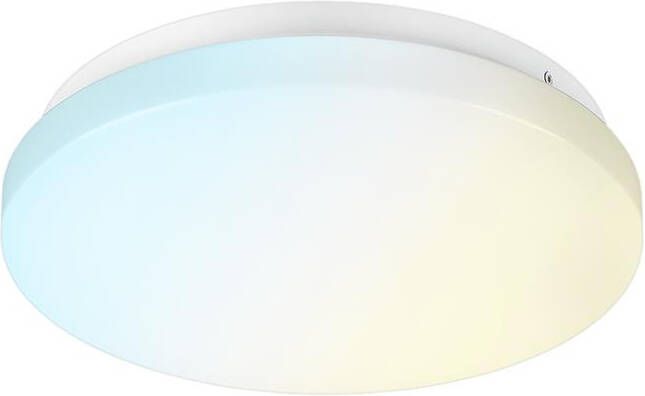 HOFTRONIC LED Plafondlamp Ø45 cm 36 Watt IP20