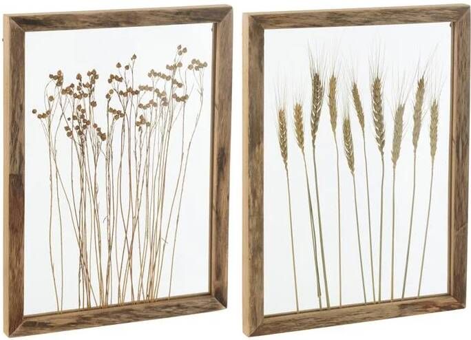 J-Line wanddecoratie Graan dennenhout|glas transparant|bruin 2 stuks