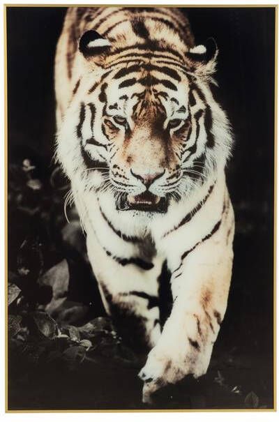 J-Line wanddecoratie Tijger aluminium|glas zwart|goud