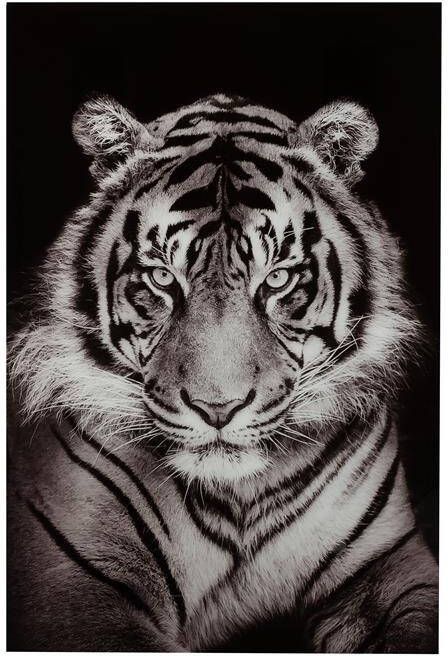 J-Line wanddecoratie tijger getemperd glas zwart|wit
