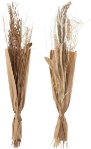 J-Line Wild Bladeren Naturel Assortiment Van 2