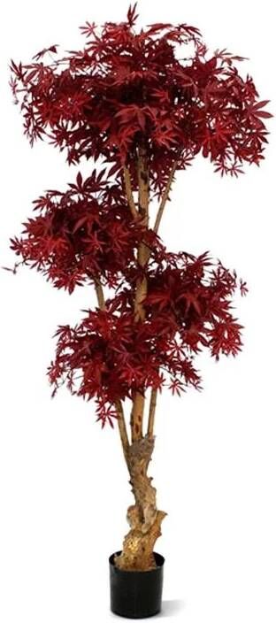 Maxi Fleur kunstplanten Acer Bonsai deluxe kunstboom 170cm burgundy
