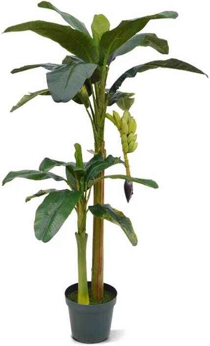 Maxi Fleur kunstplanten Bananen kunstboom 180cm