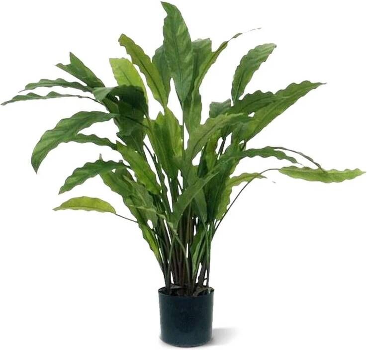 Maxi Fleur kunstplanten Calathea kunstplant 60cm groen