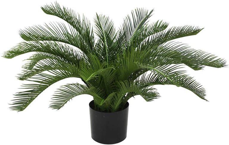 Maxi Fleur kunstplanten Designplants Cycas palm kunstplant 60