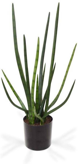 Maxi Fleur kunstplanten Sanseveria Cylindrica kunstplant 75cm groen
