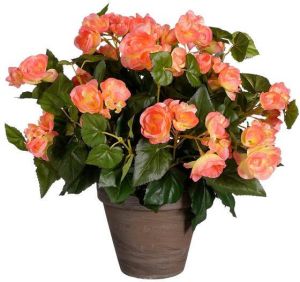Mica Decorations Begonia Kunstplant H37 x Ø36 cm Zalmroze
