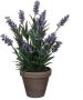 Merkloos Groene Lavandula lavendel kunstplant 33 cm in grijze plastic pot Kunstplanten nepplanten Kunstplanten - Thumbnail 1