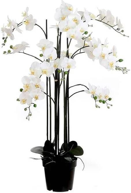 Mica Decorations orchidee in plastic pot creme maat in cm: 35x35x117