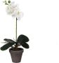 Mica Decorations Phalaenopsis Orchidee kunstplant wit in pot H48 x D13 cm Kunstplanten nepplanten met bloemen Kunstplanten - Thumbnail 2