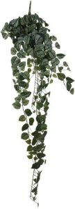 Mica Decorations Scindapsus Kunst Hangplant H129 cm Groen
