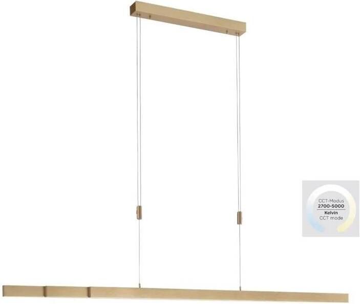 Lamponline Paul Neuhaus Hanglamp Adriana verstelbaar L 120-180 cm mat messing
