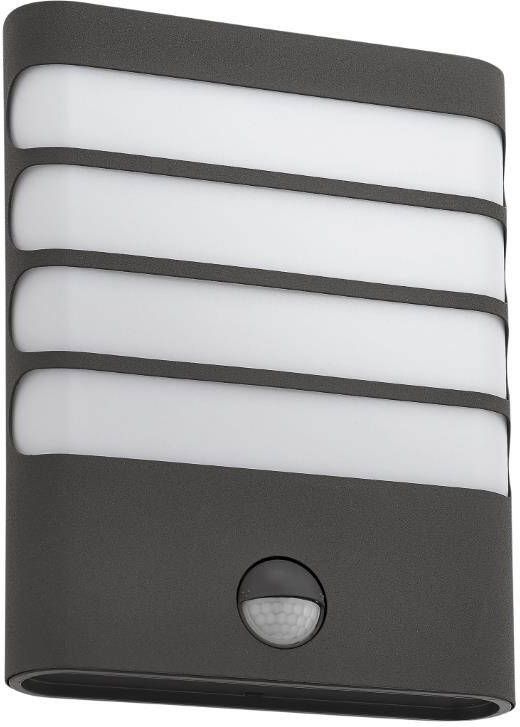 Philips Raccoon buitenwandlamp met sensor 1-lichts antraciet