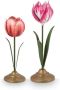 Pip Studio Tulpen Kandelaar Woonaccessoire Roze 21cm 2 stuks - Thumbnail 1