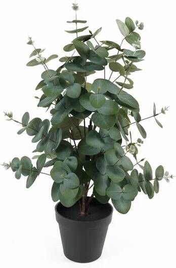 Present time Kunstplant Eucalyptus Leaf Groen 25x25x54cm