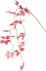 PTMD Leaves Kunsttak 110x38x182 cm PE Rood