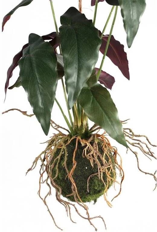 PTMD Trifolium Kunstplant 30 x 28 x 42 cm Kunststof Groen