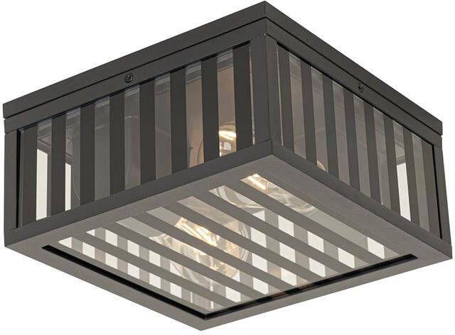 QAZQA Moderne buiten plafondlamp zwart glas 2-lichts IP44 Dijon