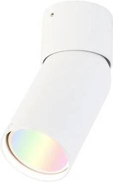 QAZQA Smart spot wit verstelbaar incl. Wifi GU10 Falo