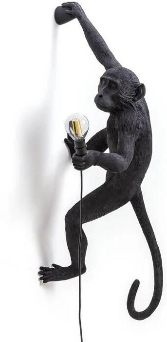 Seletti Monkey Outdoor Lampresin Hanging