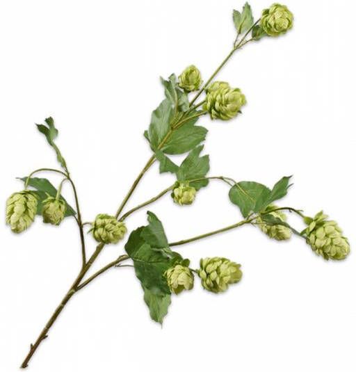 Silk-ka Zijden Bloem-Kunstbloem Hop Tak Groen 77 cm