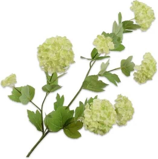 Silk-ka Zijden Bloem-Kunstbloem Sneeuwbal Tak Groen 78 cm