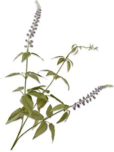Silk-ka Zijden Bloem-Kunstbloem Spirea Tak Paars 76 cm Per 2 Stuks