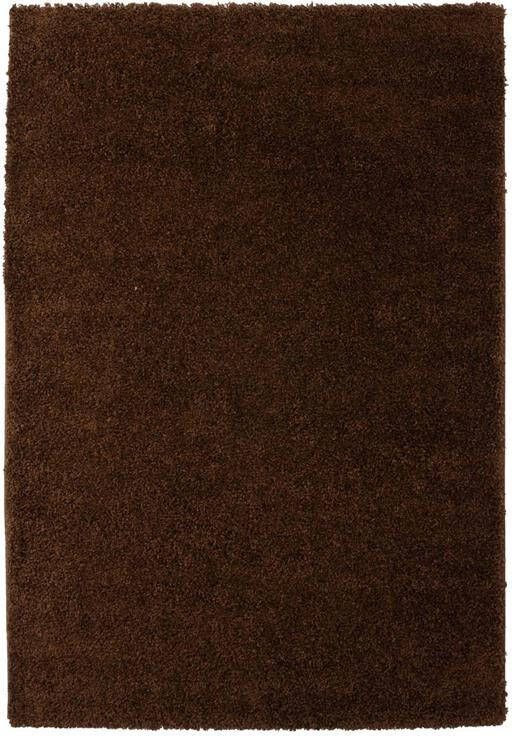 Tapeso Hoogpolig vloerkleed shaggy Trend effen bruin 300x400 cm