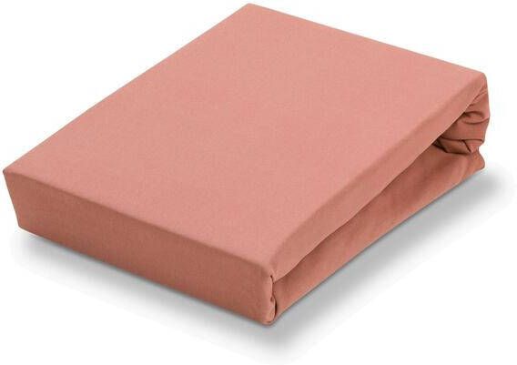 Vandyck Hoeslaken Jersey Soft 160 x 220