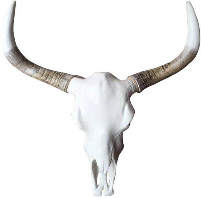 Vtw Living Skull Decoratie Buffel schedel skull bedrukt Skull Dierenhoofd