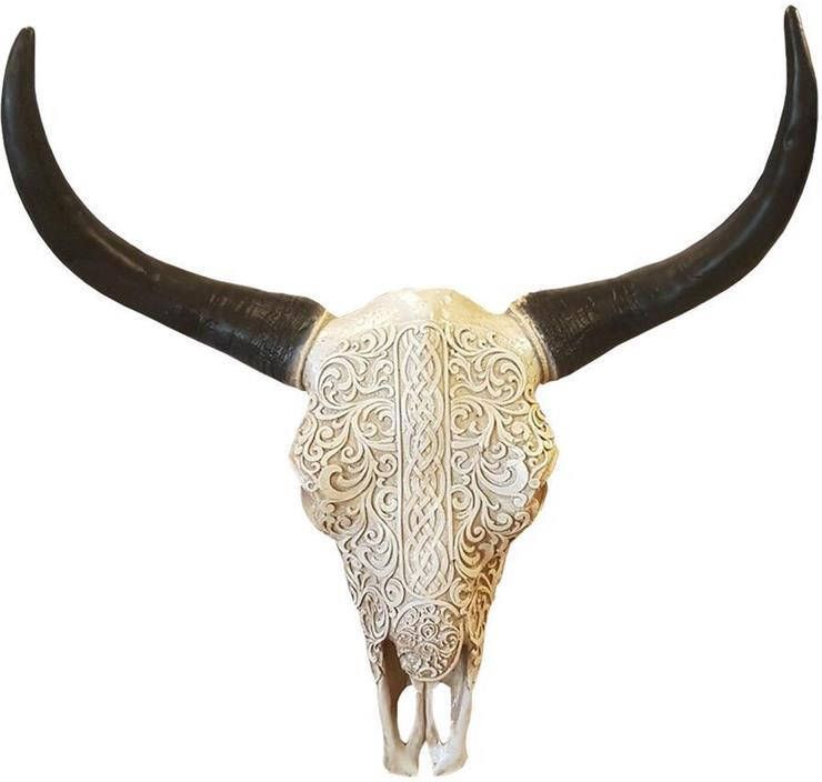 Vtw Living Skull Decoratie Buffelschedel Skull Dierenhoofd Buffel