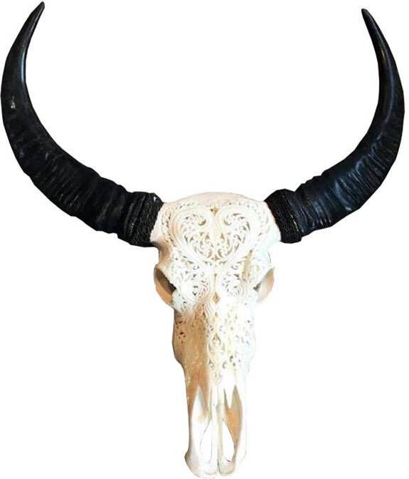 Vtw Living Skull Decoratie Gegraveerde waterbuffel skull echt