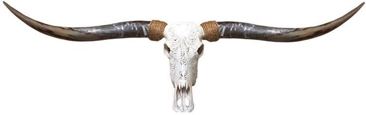 Vtw Living Skull Decoratie Longhoorn Echt Gegraveerd flower