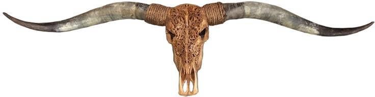 Vtw Living Skull Decoratie Longhoorn gegraveerd 160 cm premium